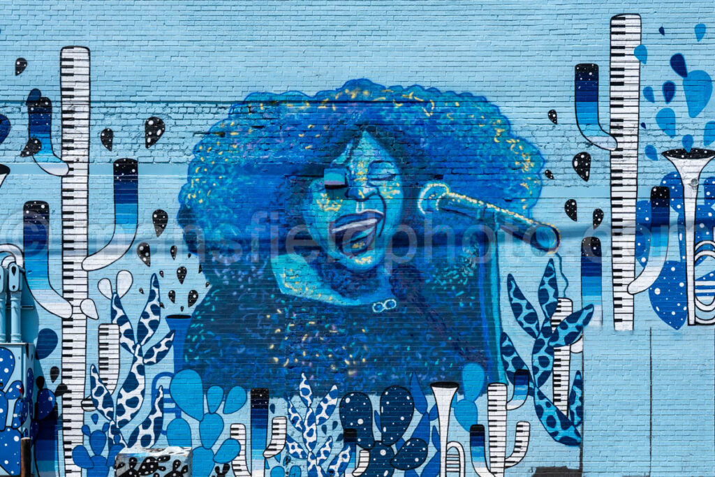 Blues Alley Mural In Deep Ellum, Dallas, Texas A4-38669 - Mansfield Photography