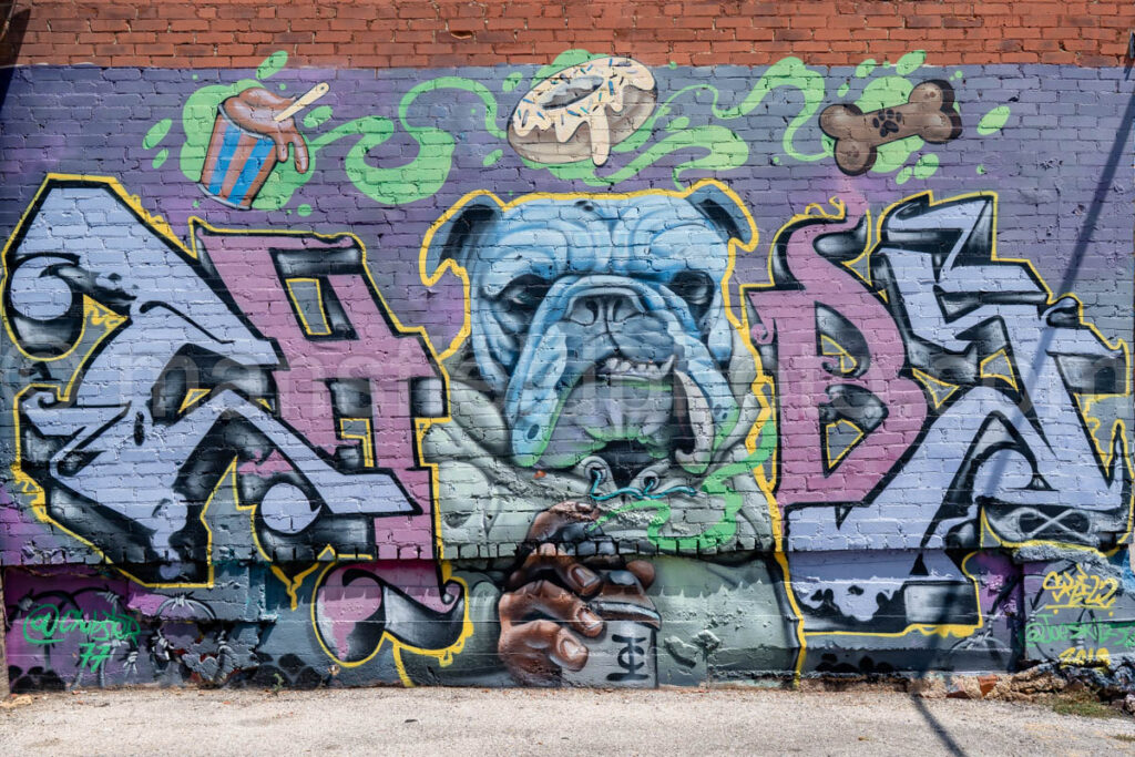 Blues Alley Mural In Deep Ellum, Dallas, Texas A4-38671 - Mansfield Photography
