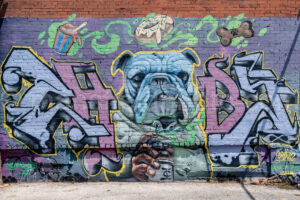 Blues Alley Mural In Deep Ellum, Dallas, Texas A4-38671 - Mansfield Photography