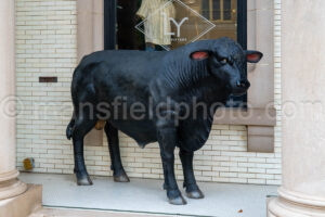 Bull Statue In Mckinney, Texas A4-38718 - Mansfield Photography